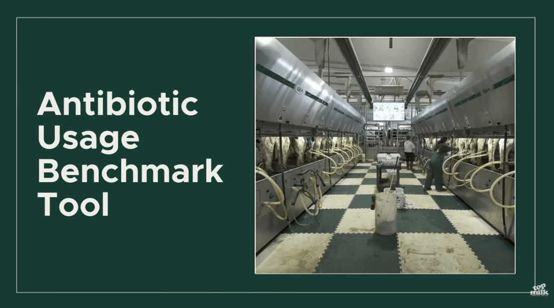 Antibiotic Usage Benchmark Tool Title