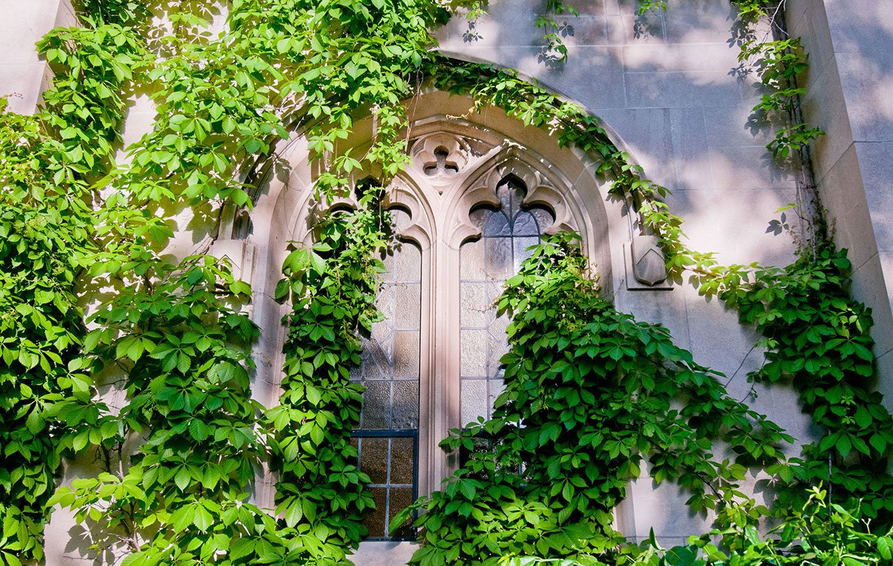 campus-beaumont-tower-ivy-large-banner