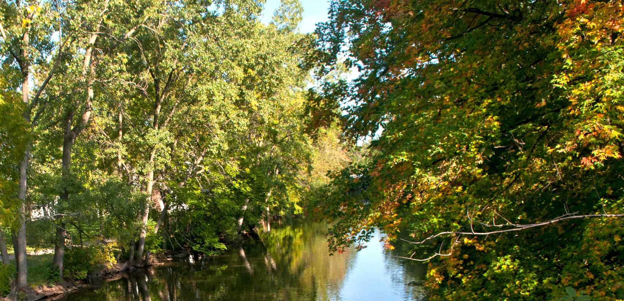 river with green trees surrounding it