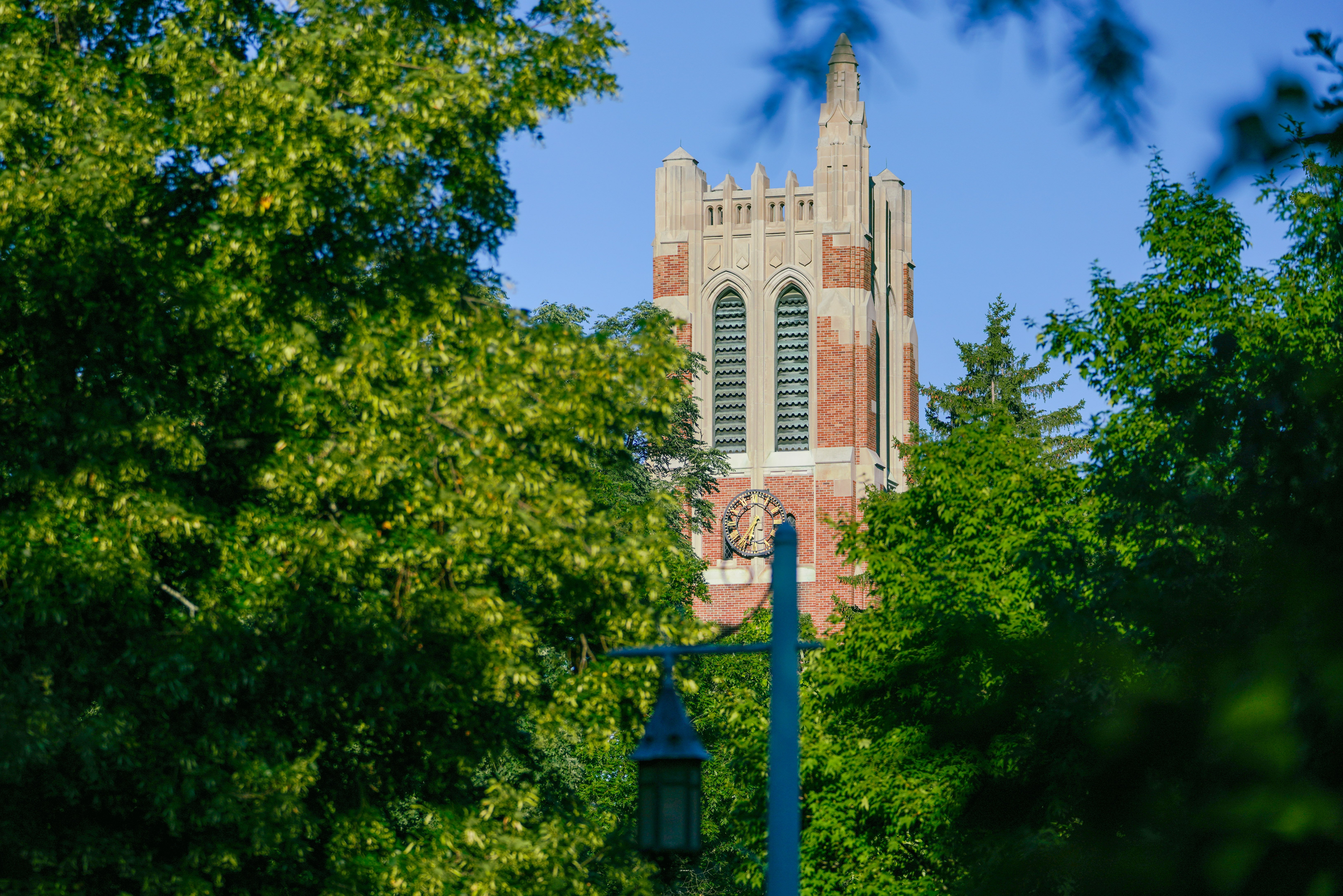 A photo of Beaumont Tower on a sunny day. The photo is framed with the tower coming up through some green trees in the foreground. 