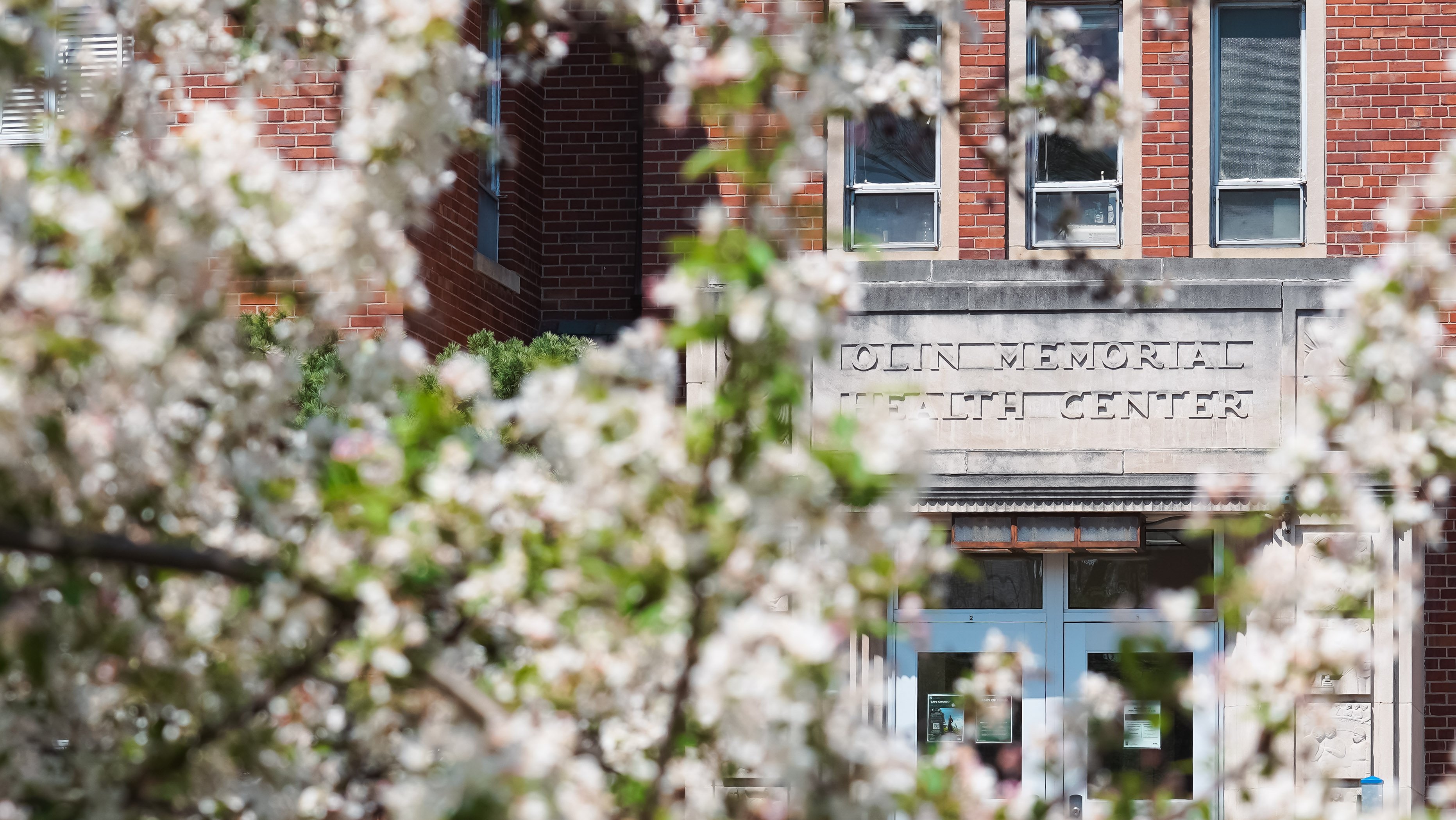 A photo of the front entrance to Olin during the beginning of summer when the flowers are blooming