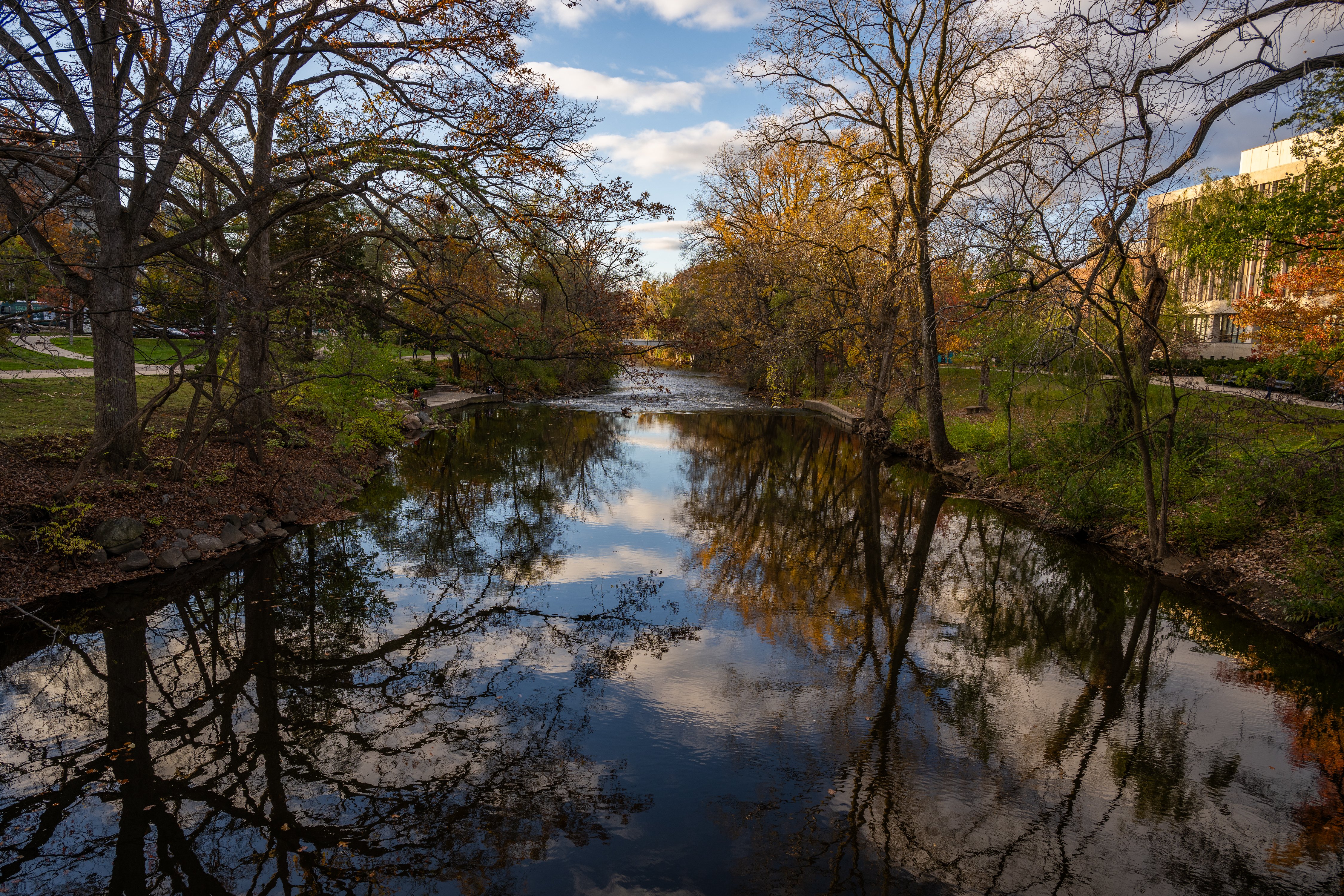 a river with buildings and fall trees on each side