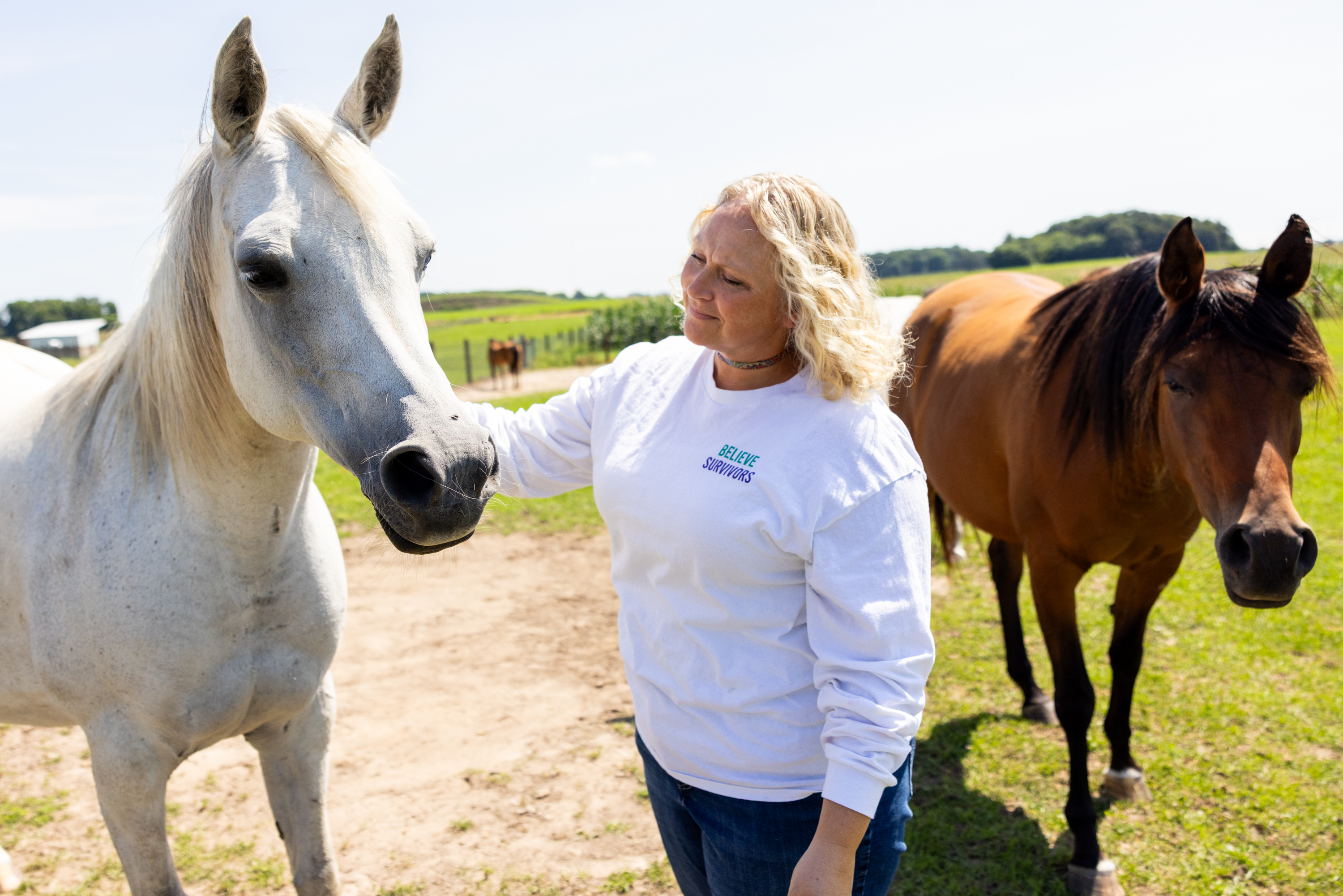 stable minds horse-1