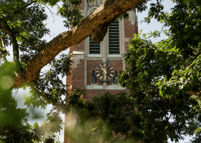 A view of Beaumont Tower in the daytime through several tree branches.