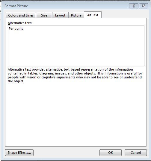 Format picture dialogue box, alternative text field selected. Penguins in dialogue box