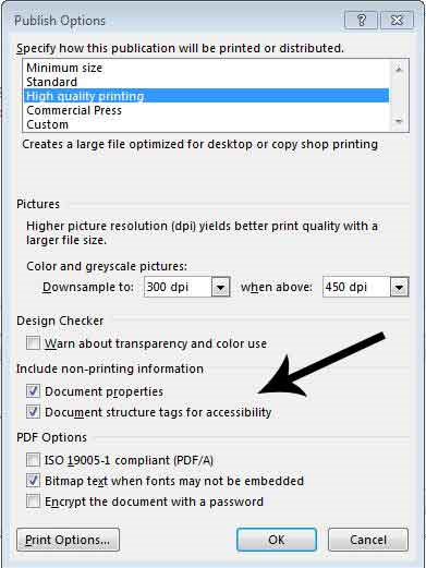 Document structure tags for accessibility checkbox in publish options prompt window