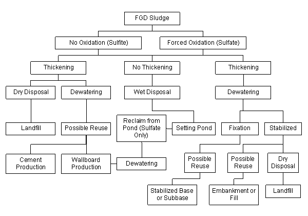FGD sludge processing system