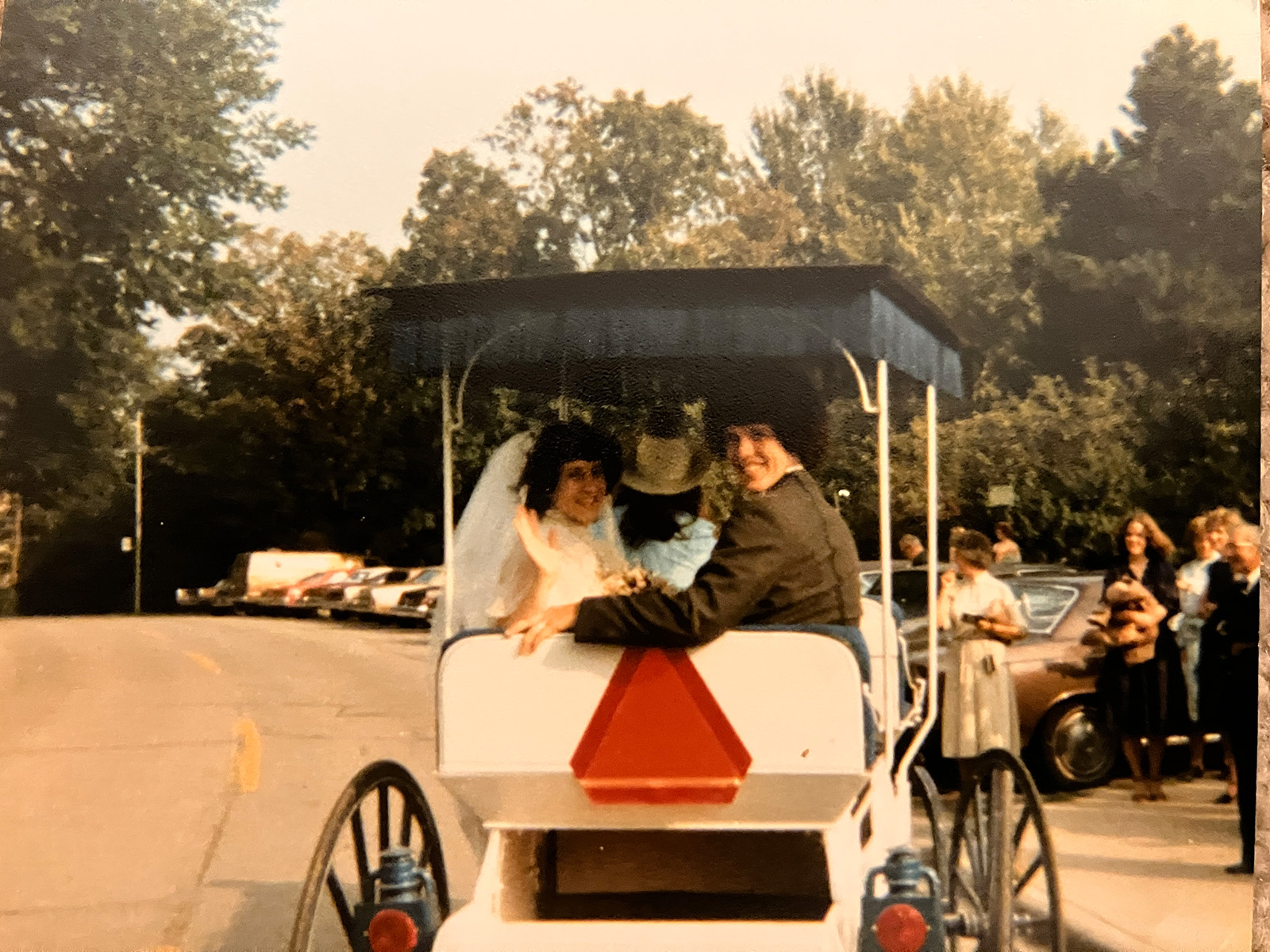 Susan and Rick Brooks smile from a white horse-drawn carriage as they ride through the Michigan State University campus after their wedding ceremony. Susan wears a white wedding dress and veil, while Rick is dressed in a brown suit. Trees, parked cars, and wedding guests waving from the sidewalk are visible in the background.