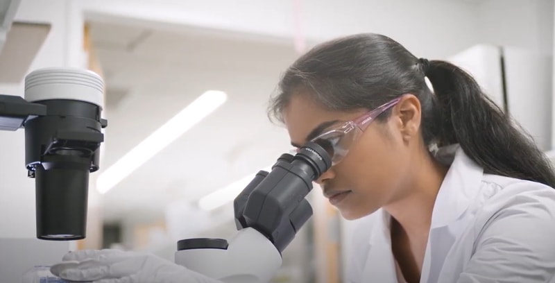 Michigan State University student, Chelsie, looking into a microscope in a lab setting