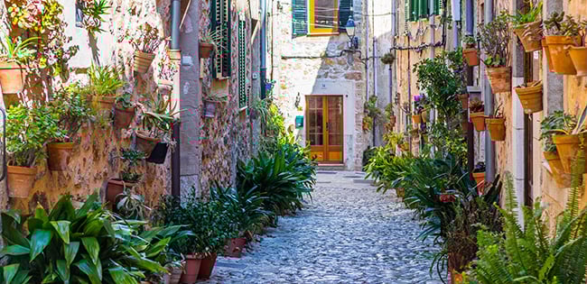 A charming cobblestone alley in Rome, Italy, lined with stone buildings adorned with vibrant green plants and flowers in pots hanging from the walls. Brightly painted shutters and doors add character to the narrow street, creating a picturesque and inviting atmosphere under soft natural light.
