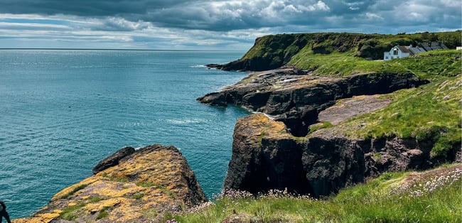 A dramatic stretch of rocky coastline along the British Isles, with jagged cliffs covered in wildflowers and moss. A cluster of white cottages sits peacefully on the grassy cliffs overlooking the deep blue sea beneath a cloudy sky.