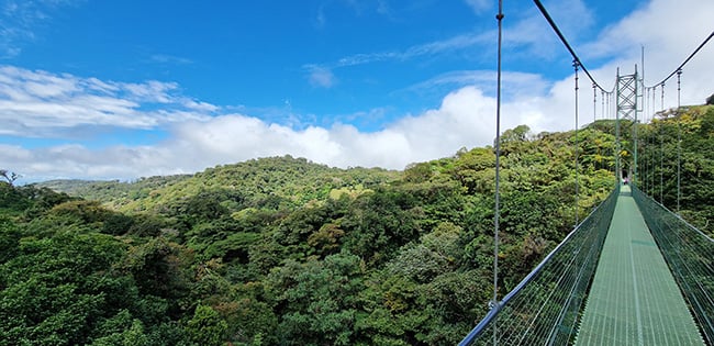 A hanging bridge stretches across a lush green rainforest in Costa Rica, with blue skies and scattered clouds above the treetops.