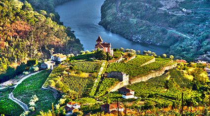A scenic view of a vineyard-covered hilltop in Portugal’s Douro Valley, with a river winding through the landscape and a church nestled among the vines.