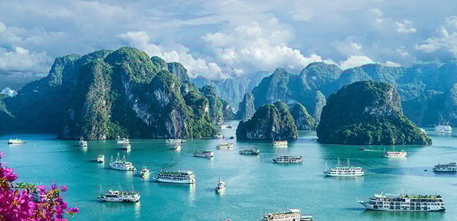 Cruise boats sail through the emerald waters of Ha Long Bay, Vietnam, surrounded by towering limestone islands under a dramatic sky, with pink flowers in the foreground.
