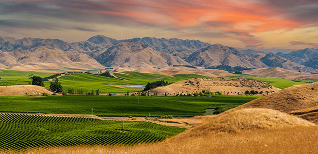 Rows of green vineyards stretch across the rolling hills of Marlborough, New Zealand, beneath a dramatic sunset sky and mountain backdrop.