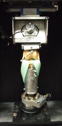 Knee Joint Test Fixtures