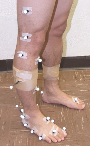 Oxford Foot Model