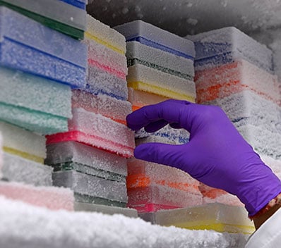 freezer in a lab
