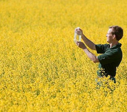 person in a field