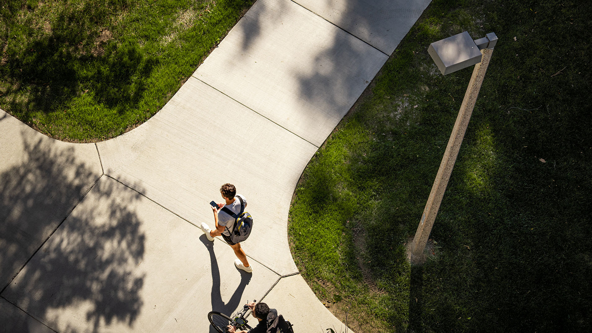 Walkways intersecting on campus and a student walking the path