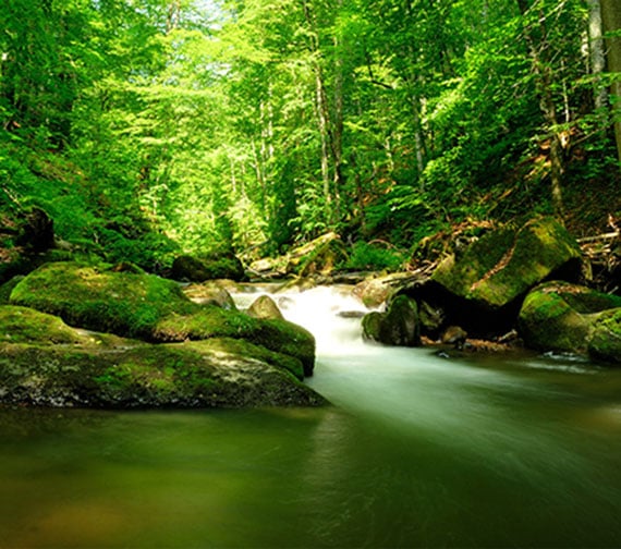 Environmental engineering