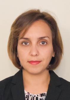 Professional headshot of Bahare Kumarsi