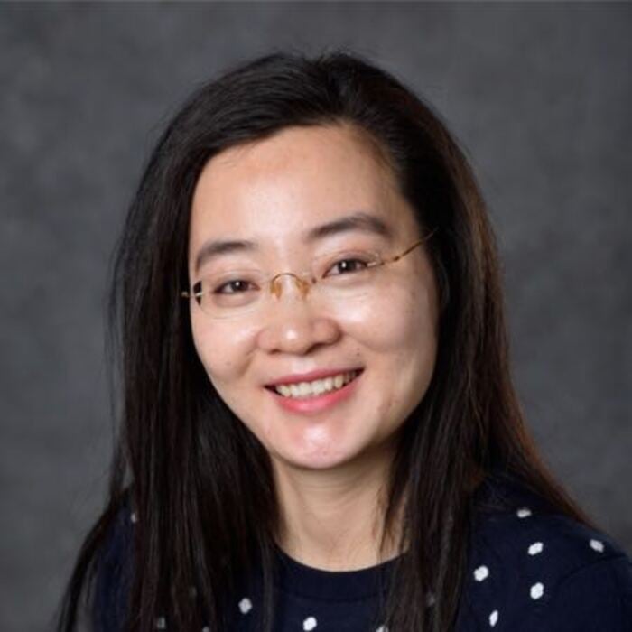 Professional headshot of Hui Liu
