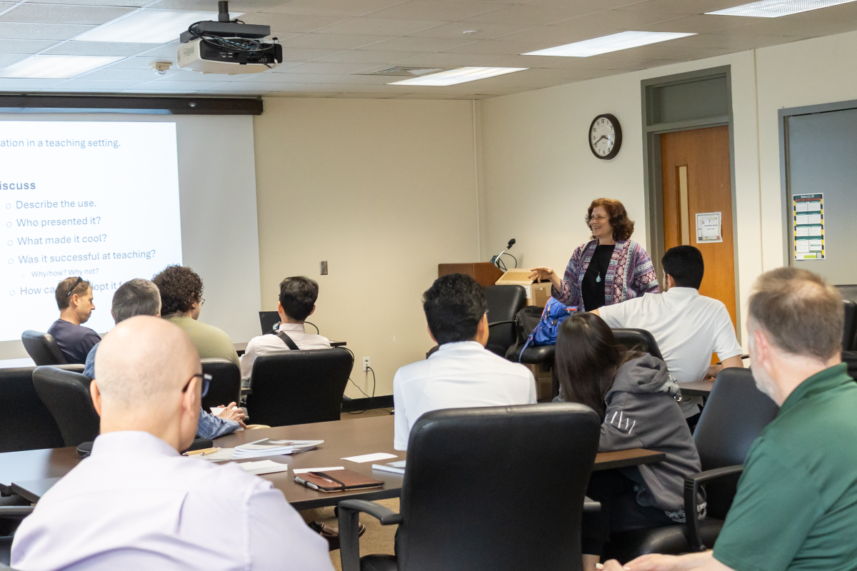 Lisa Kempler, MathWorks’ research and education strategist, conducts the computation tools workshop.