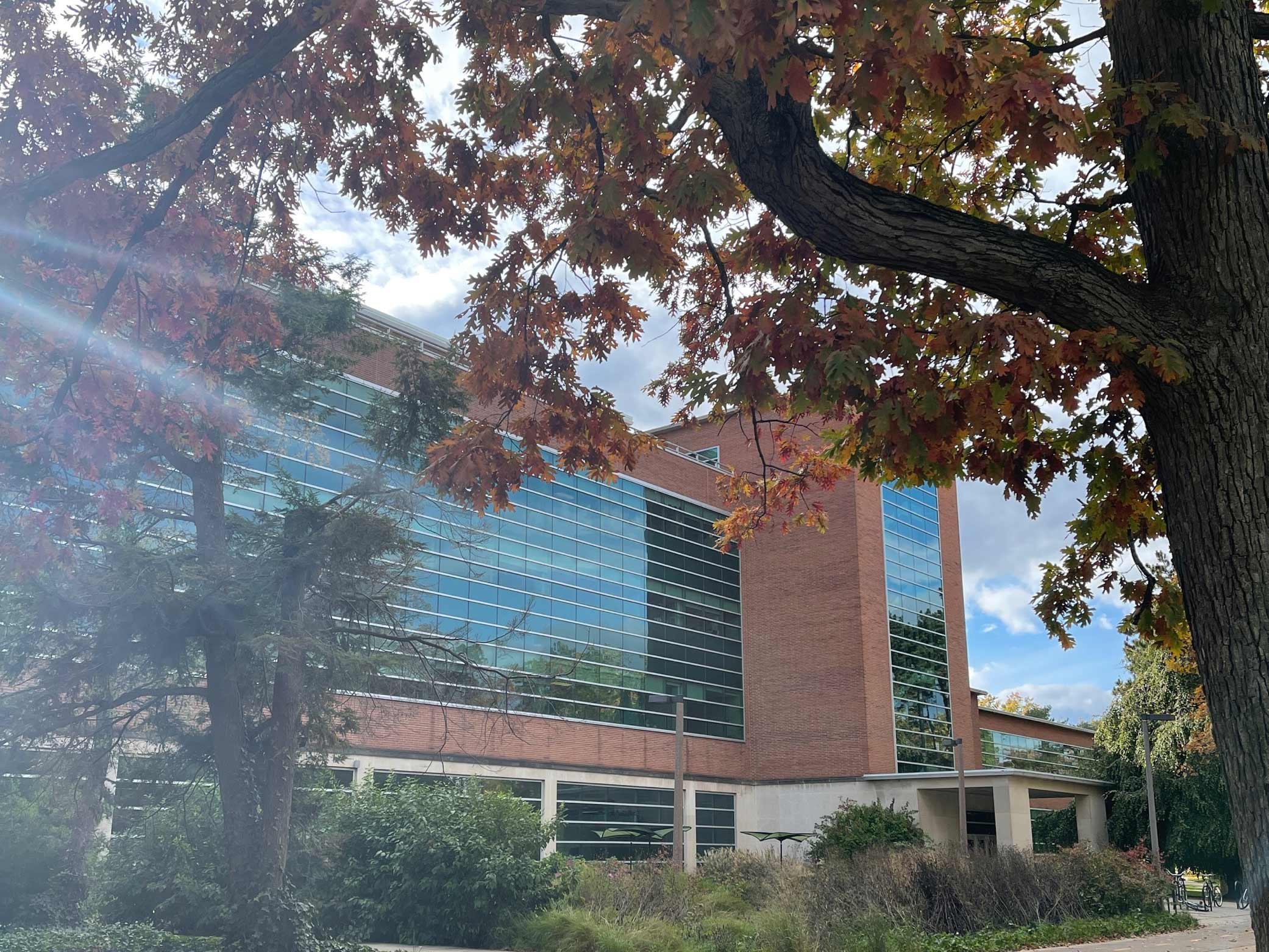 Erickson Hall, home of the MSU College of Education, in the fall.