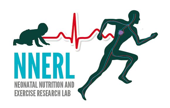 nnerl-feature