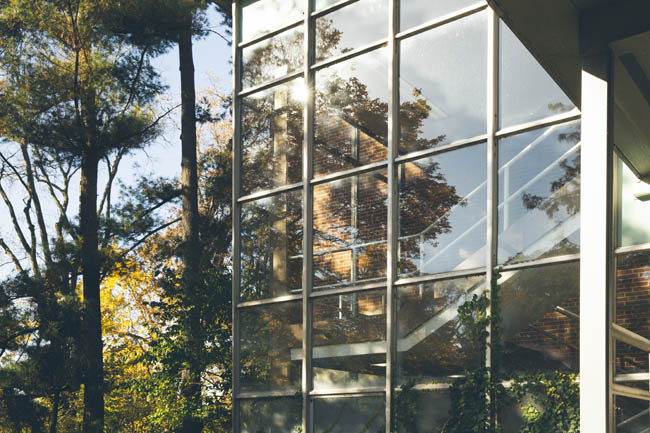 The exterior of a modern building with glass walls reflecting trees and sky.