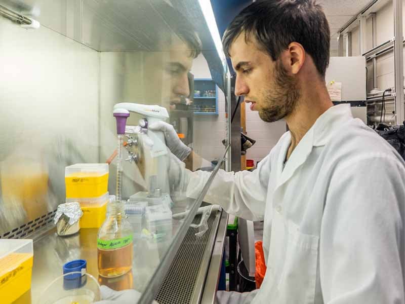 A medical student working in the lab