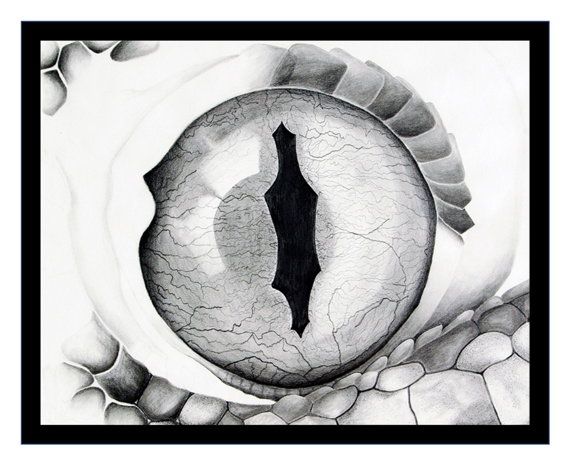 A graphite drawing of a gecko eye created by Rachel Toczydlowski. Copyright © 2020 by R.H. Toczydlowski. All rights reserved.
