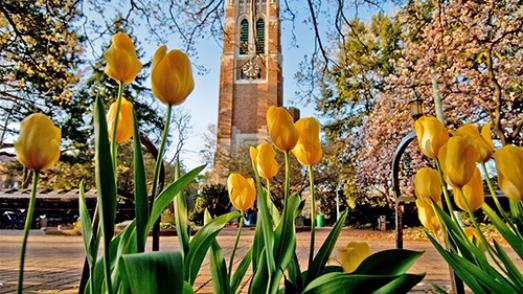 tulips and baumont tower in the backgroudn