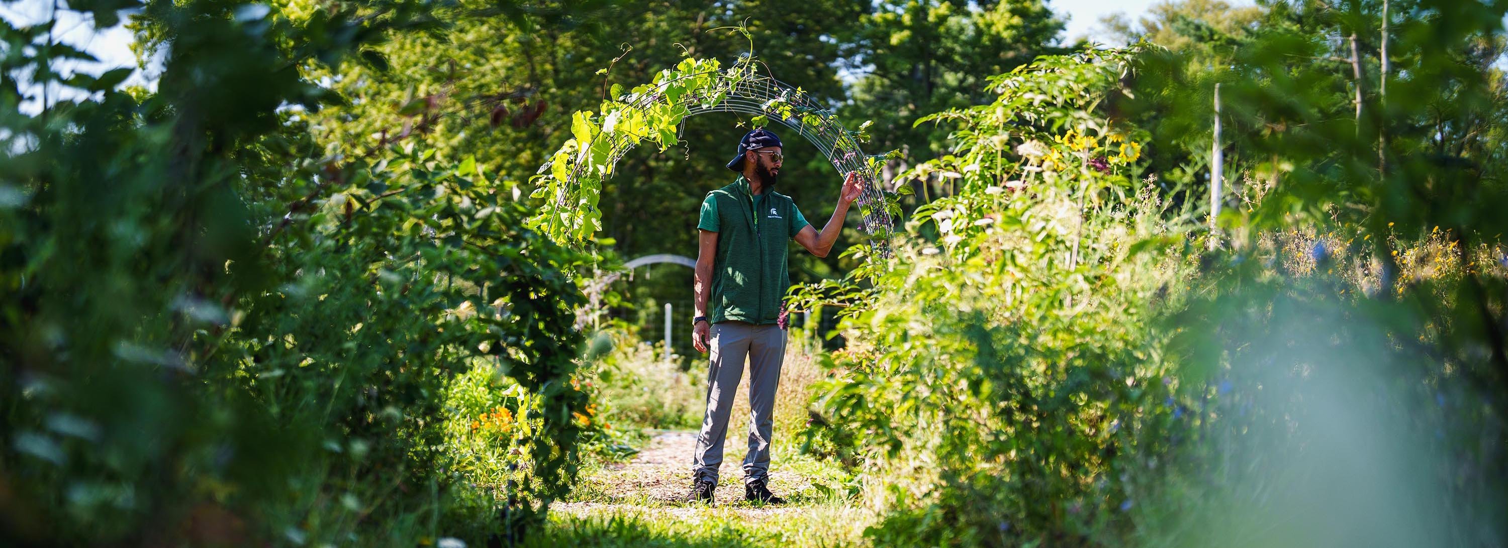 Person standing in garden