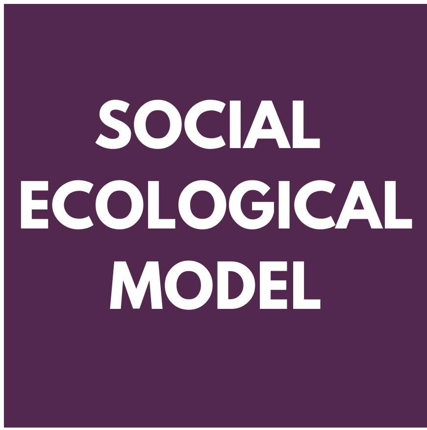 Social Eological Model Icon