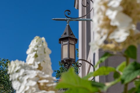 A black lantern hangs off the side of a building on MSU's campus foregrounded by white blossoming bunches of flowers.