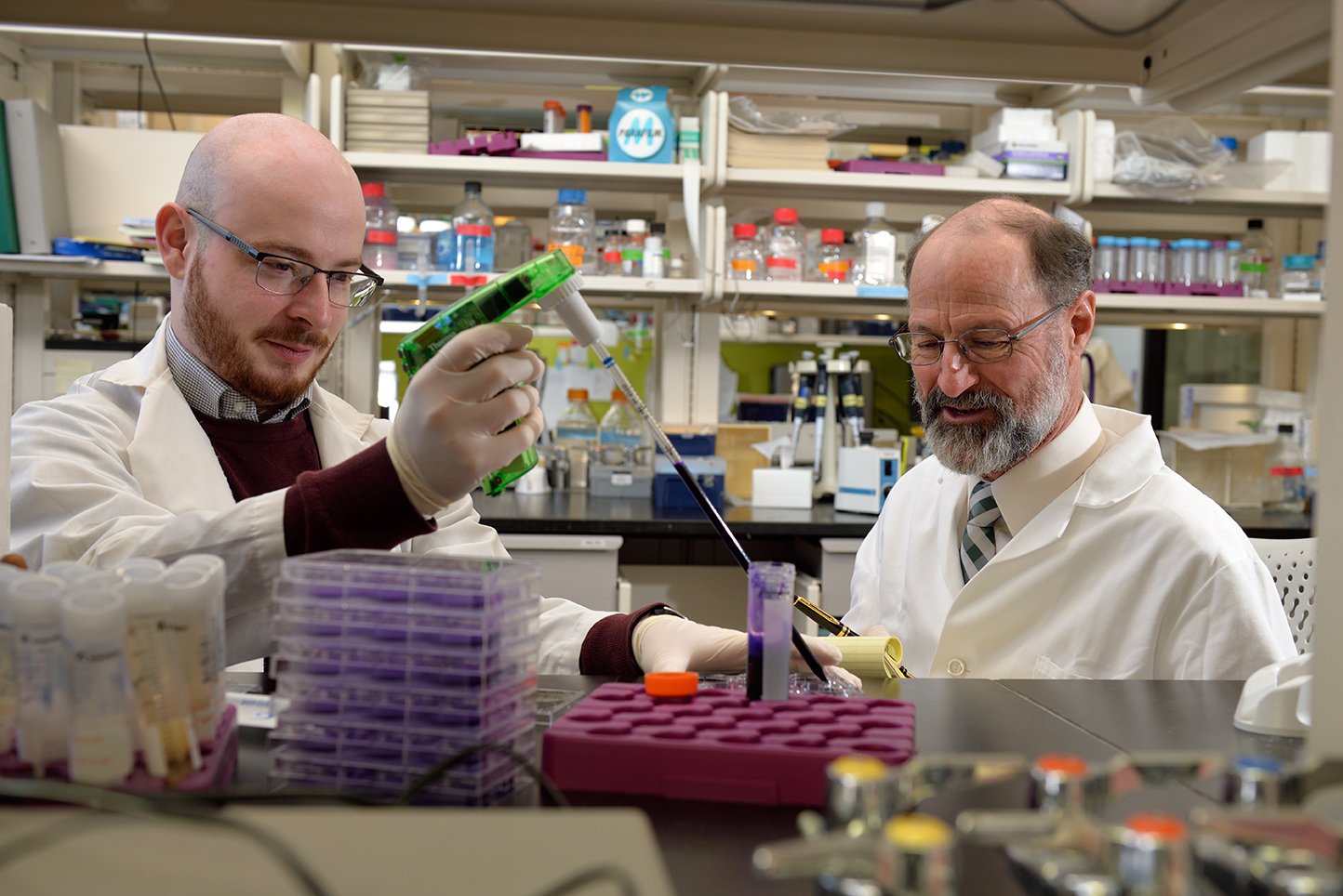two men working in lab