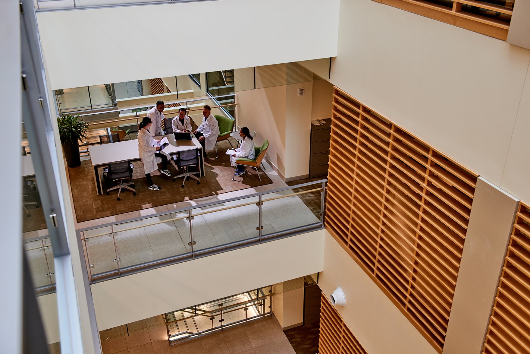 group in a meeting