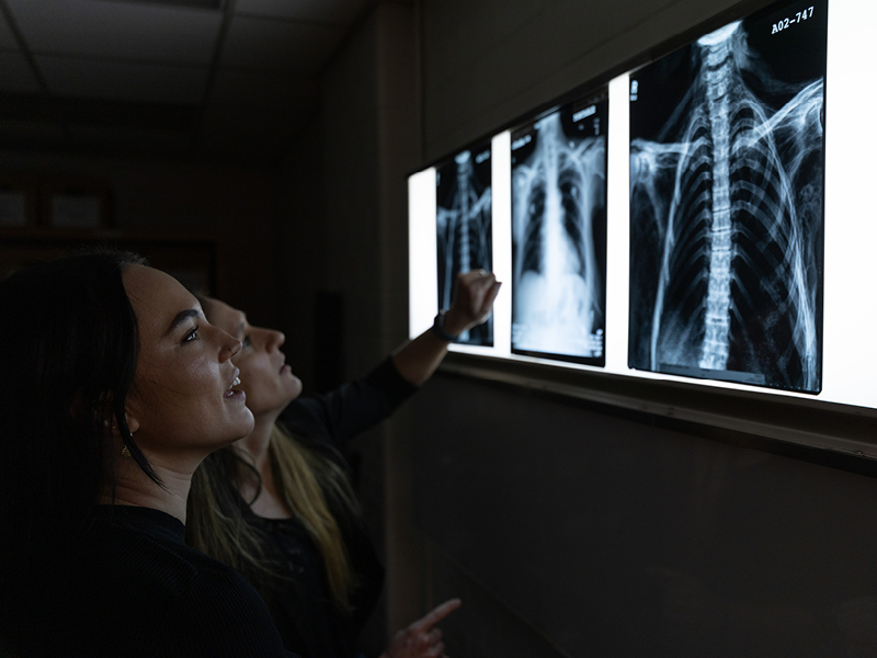 AI aide in anthropology | Spartan Magazine | Michigan State University