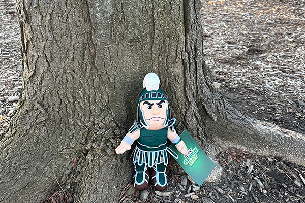 Miniature plush replica of the Sparty mascot standing by the trunk of a tree