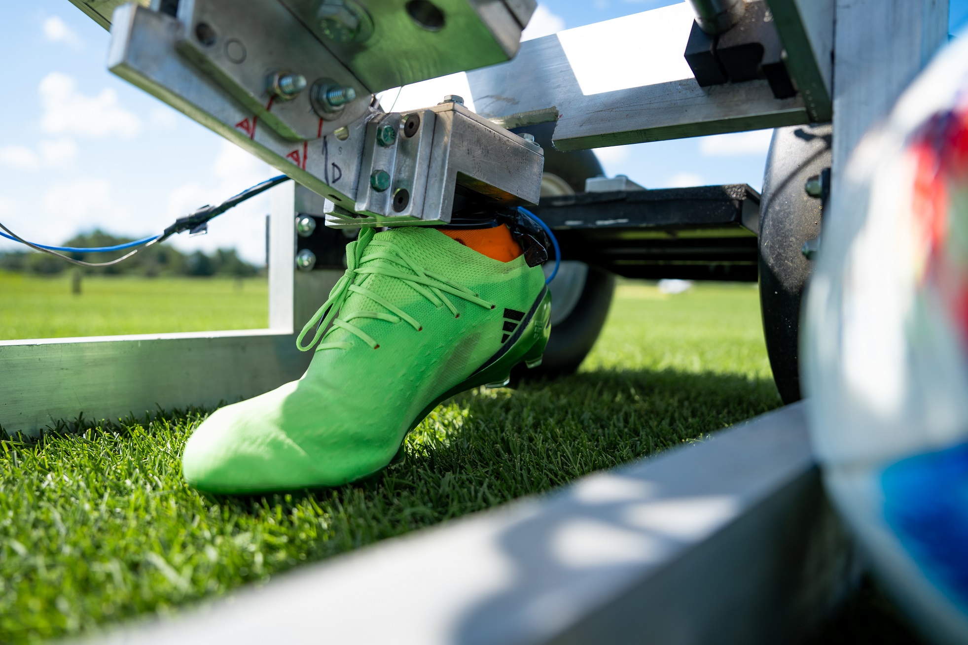 MSU Turfgrass 3