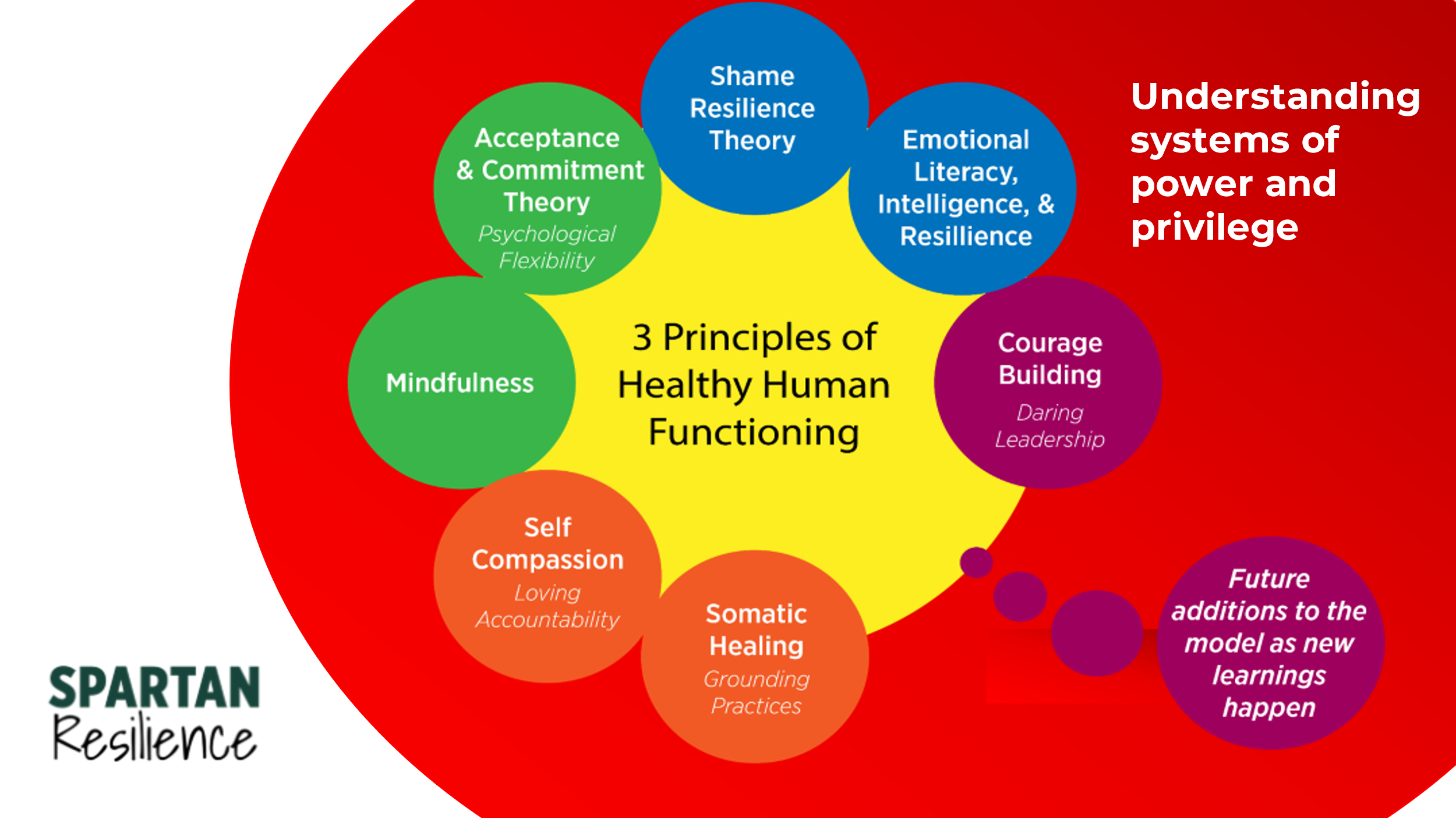 Principles of healthy human functioning
