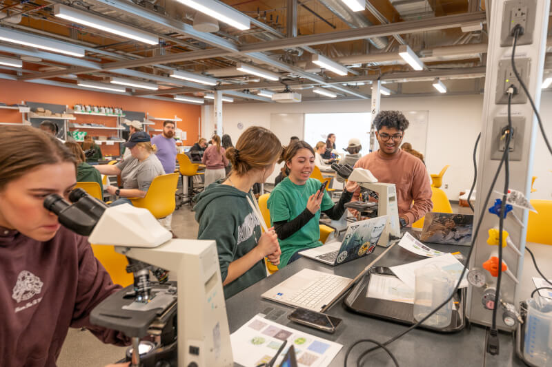 Students work in a lab at Michigan State University.