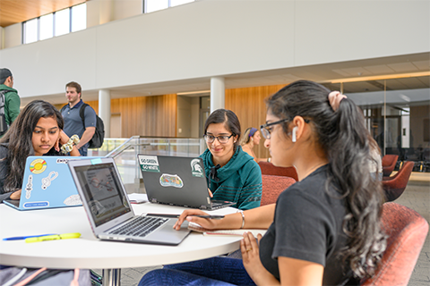 Students studying with their laptops open at a table