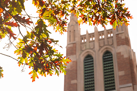 The top of MSU's beaumont tower foregrounded by a tree branch with changing fall leaves. 