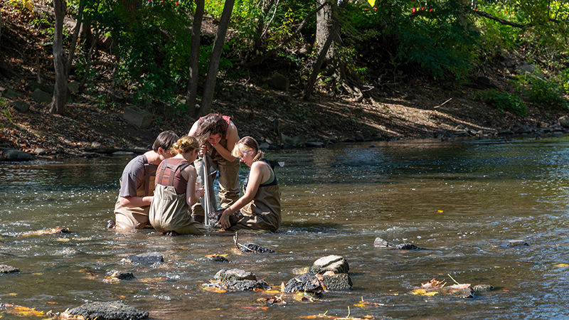 Students wade in a stream to collect field samples, gaining hands-on experience for a wildlife conservation degree.