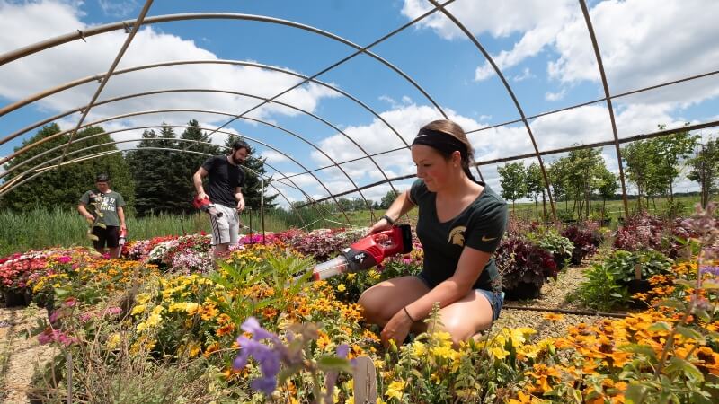Entomology degree students collecting insect samples with hand vacuums in a sunny outdoor garden.