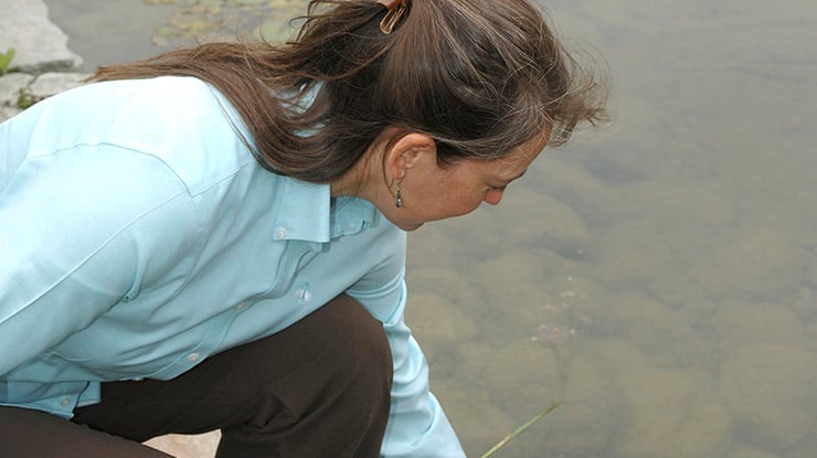 Close-up of an adult student pursuing an environmental engineering degree reaching into a river as she studies its contents.