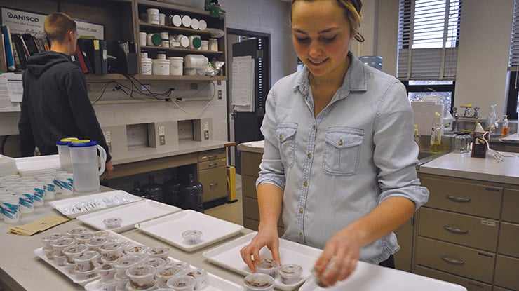Food science students work on an assignment in a lab, organizing food materials in small plastic cups.